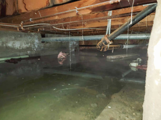  Silver Lake, NJ Water damage restoration Pros