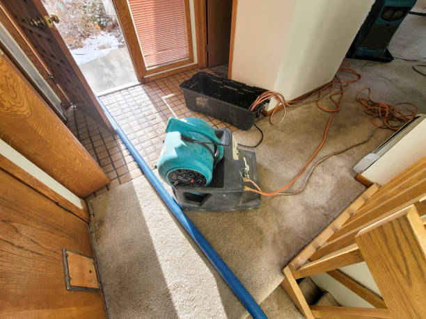 Best Flood restoration services  in Silver Lake, NJ