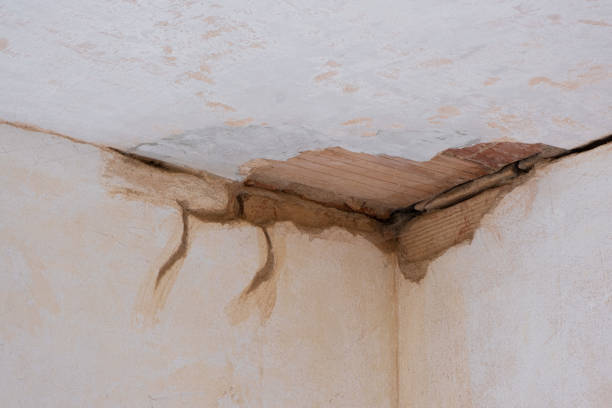Best Flood damage cleanup  in Silver Lake, NJ