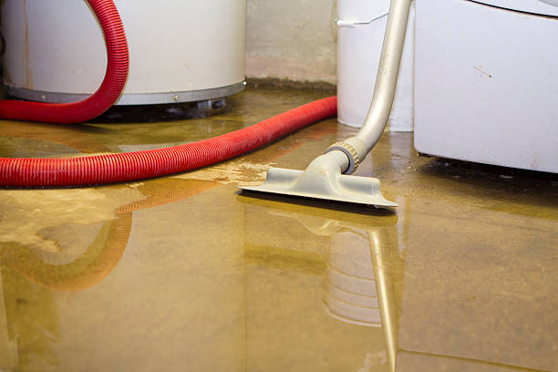 Best Local water damage restoration  in Silver Lake, NJ