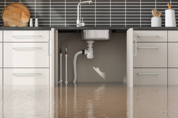 Best Mold removal after water damage  in Silver Lake, NJ