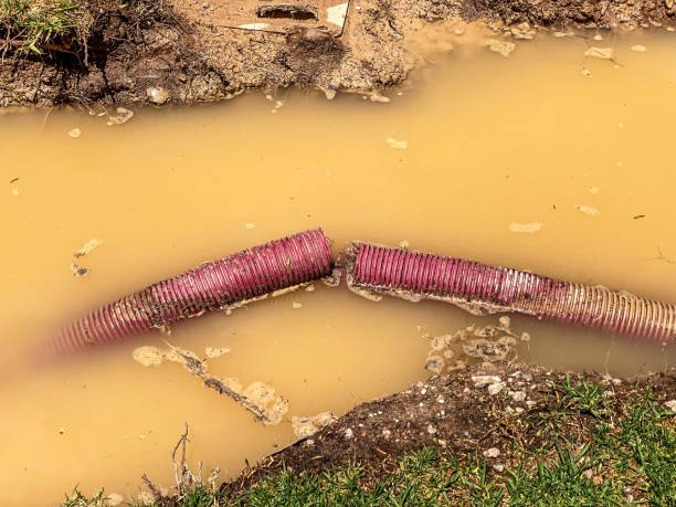 Best Flood restoration services  in Silver Lake, NJ